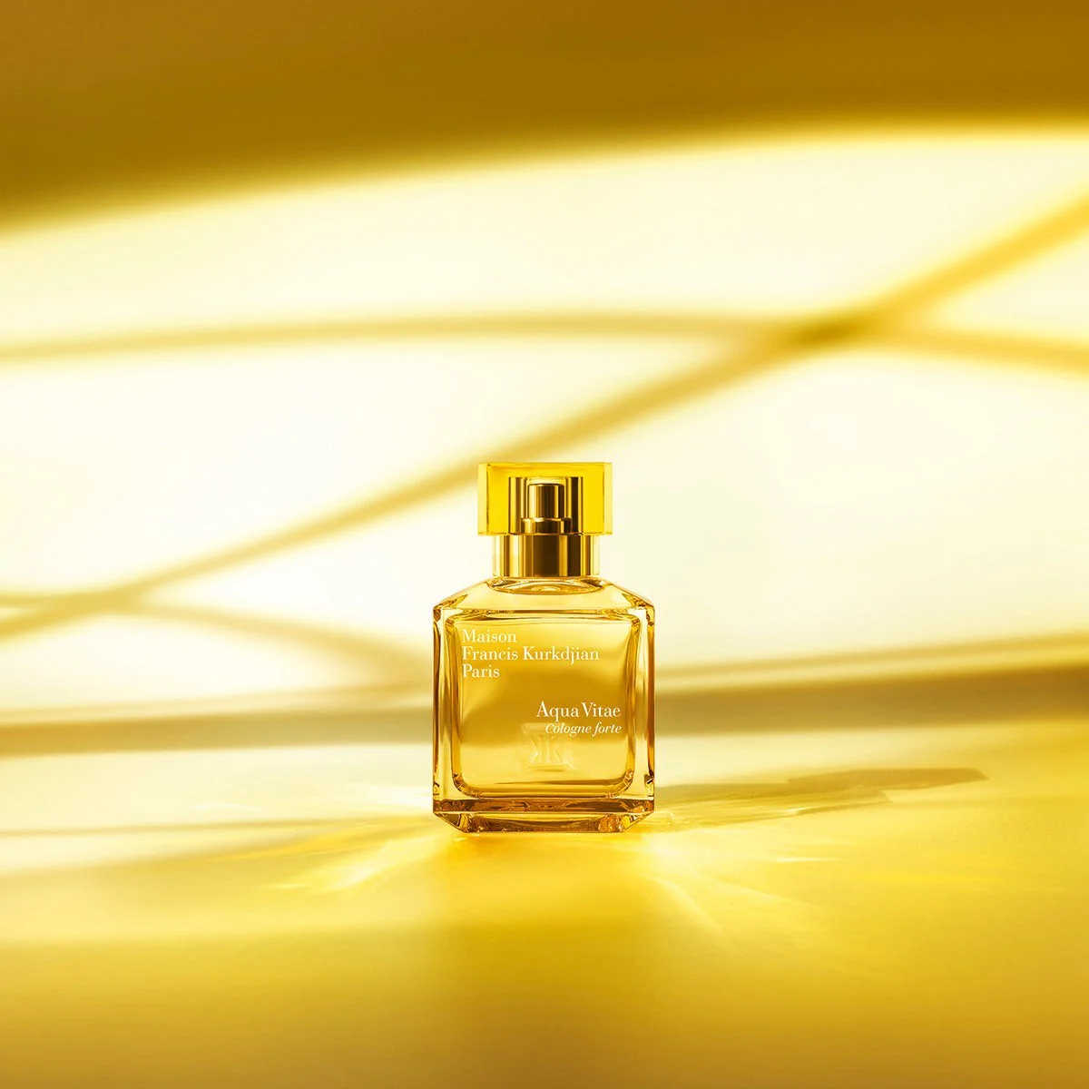 Aqua Vitae Cologne forte Eau De Parfum 70ml - Image 4