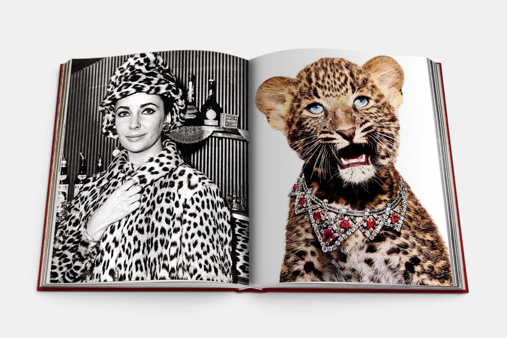 Cartier Panthere - Image 12