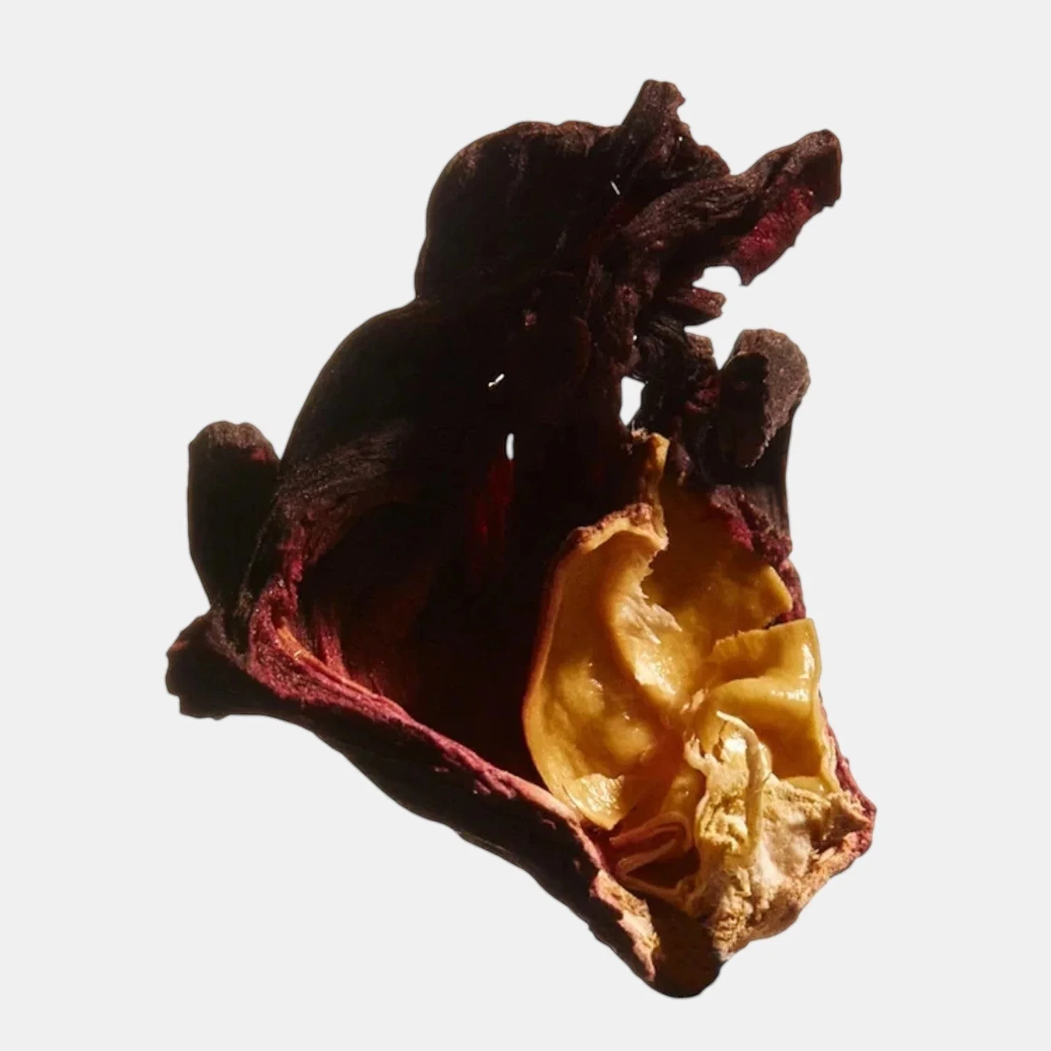Cerabalm - Image 8