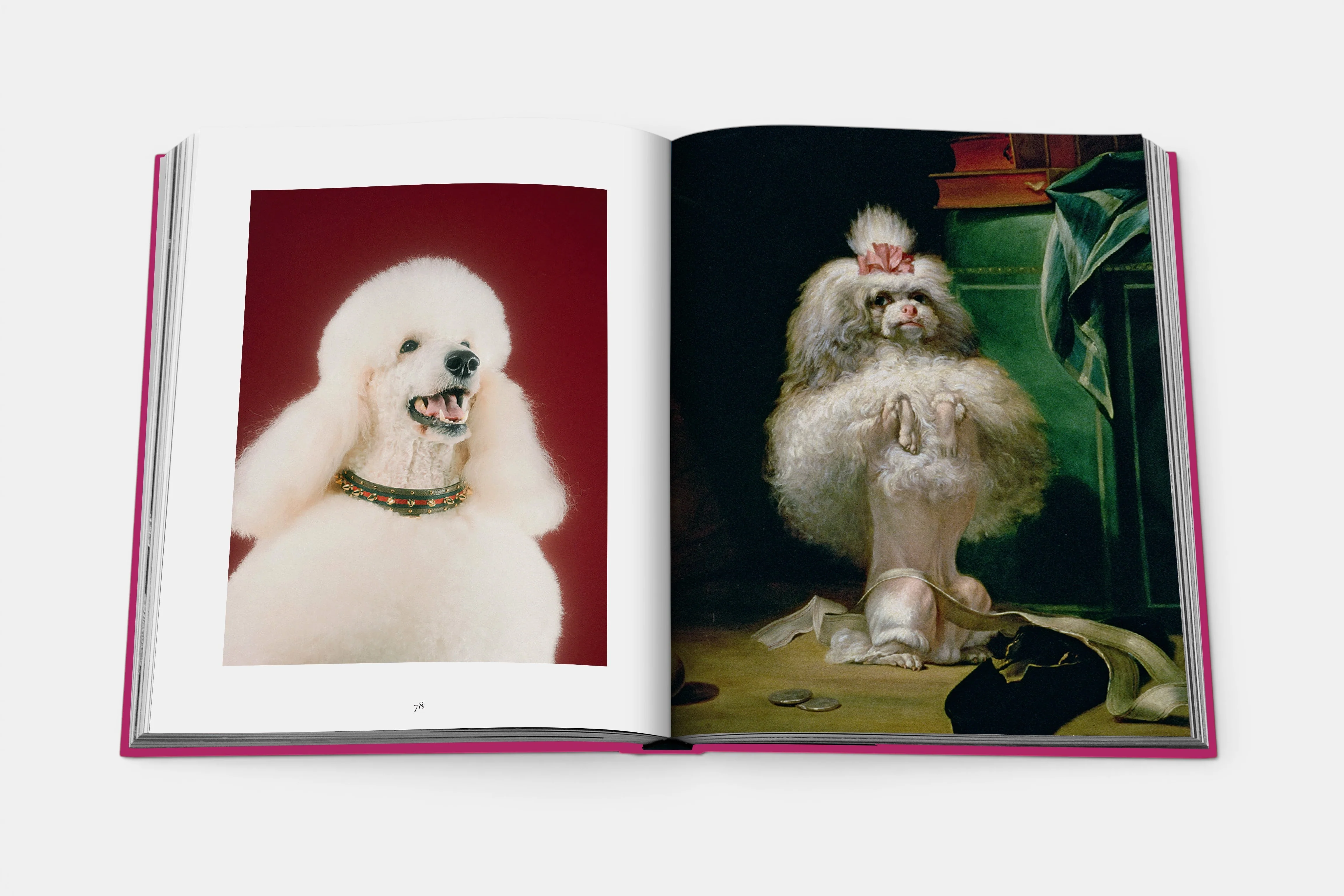 Chic Dogs - Image 4