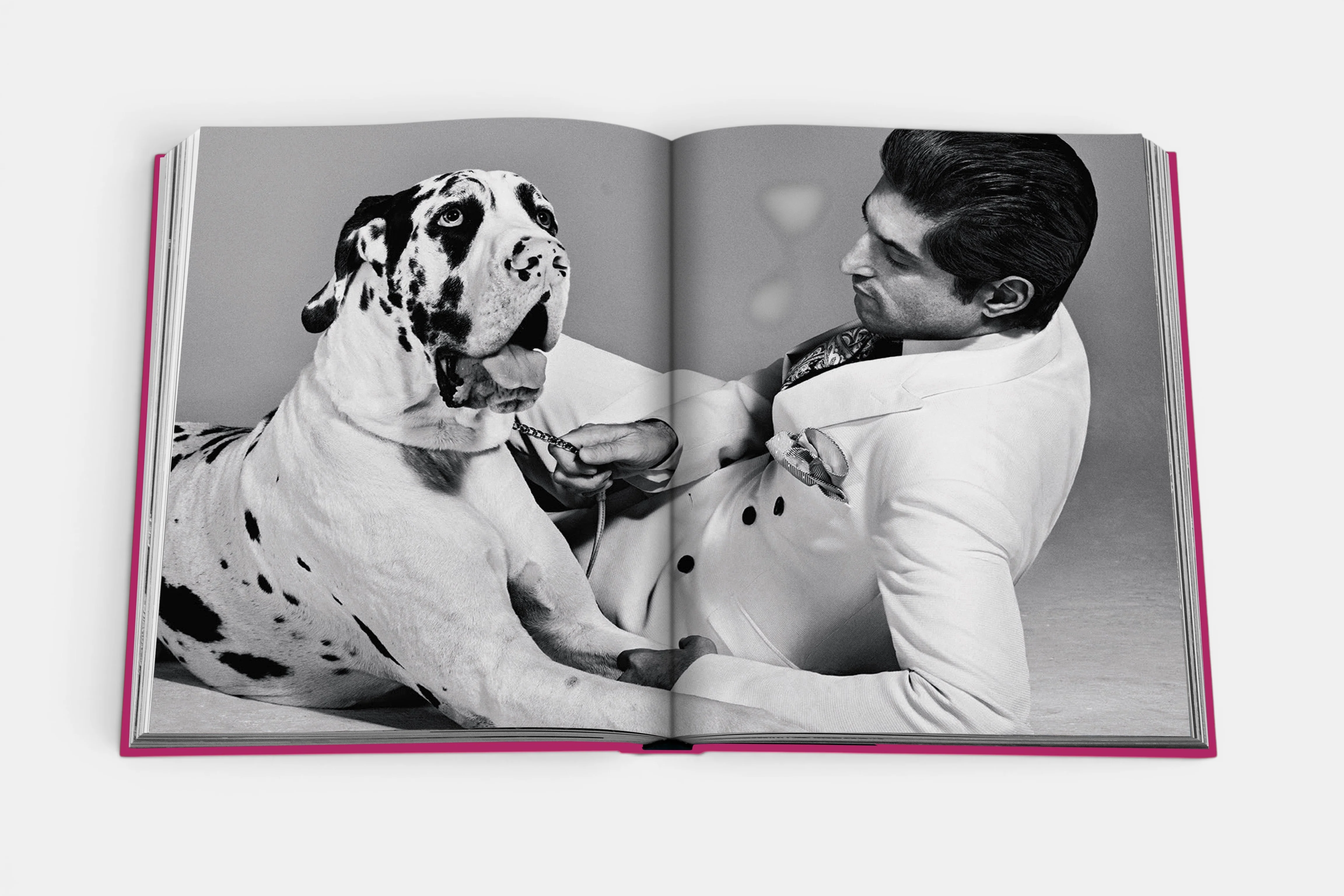 Chic Dogs - Image 7