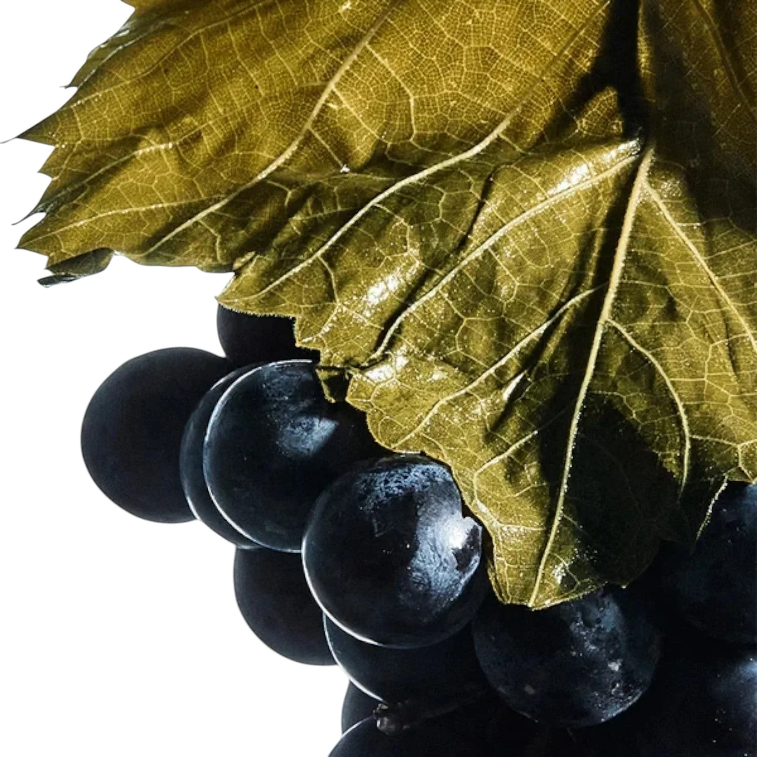 D22 Tonic - Image 5