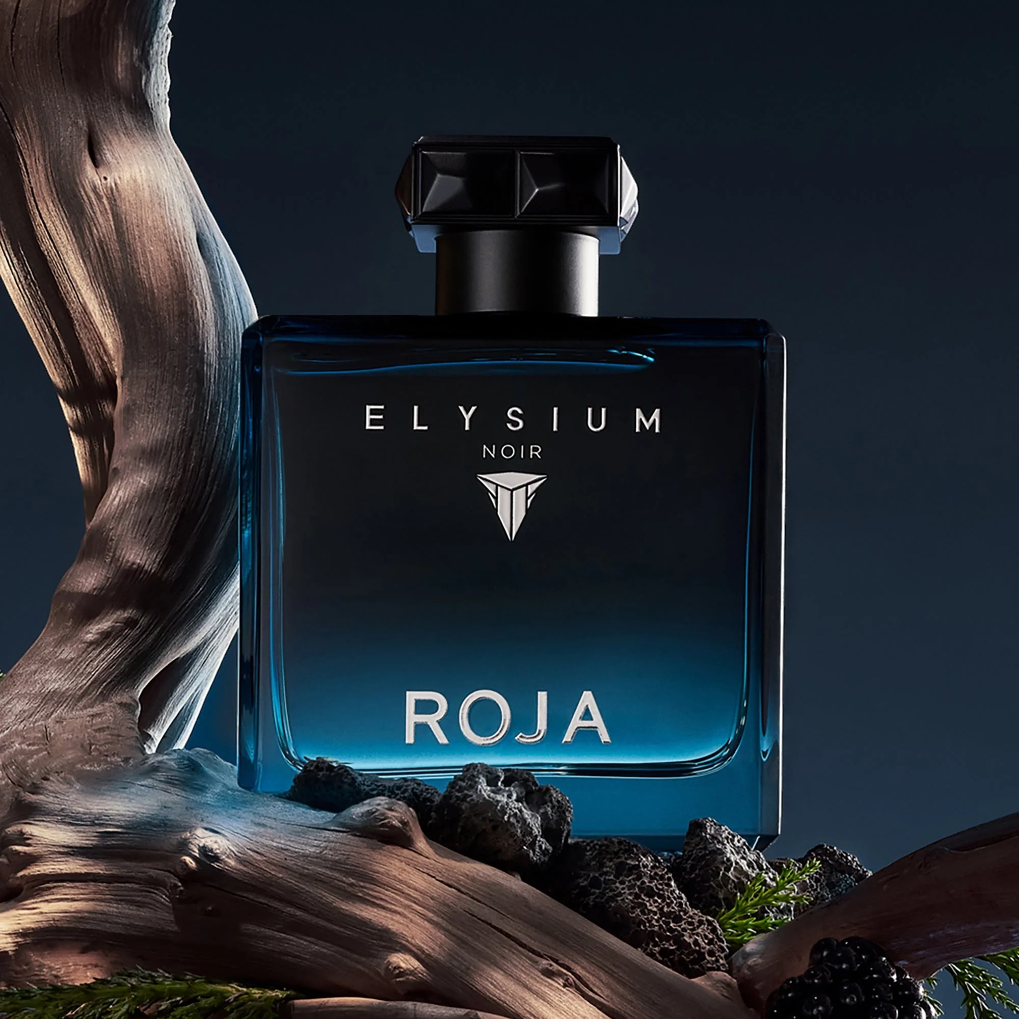 Elysium Noir - Image 3