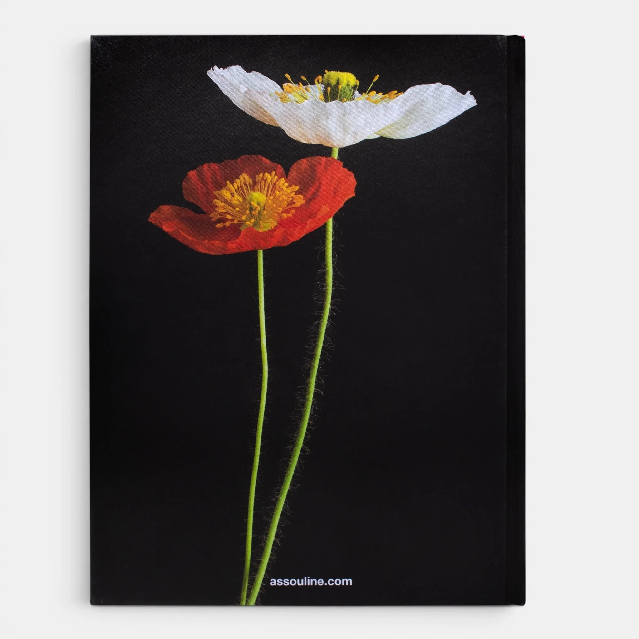 Flowers: Art & Bouquets - Image 3