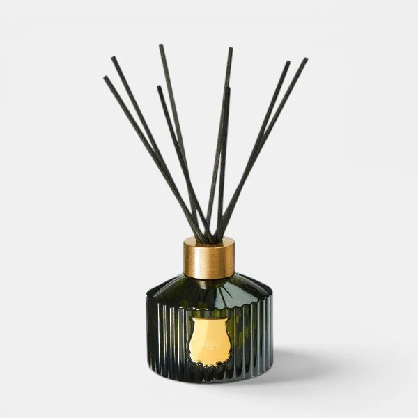 Le Diffuseur Spiritus Sancti