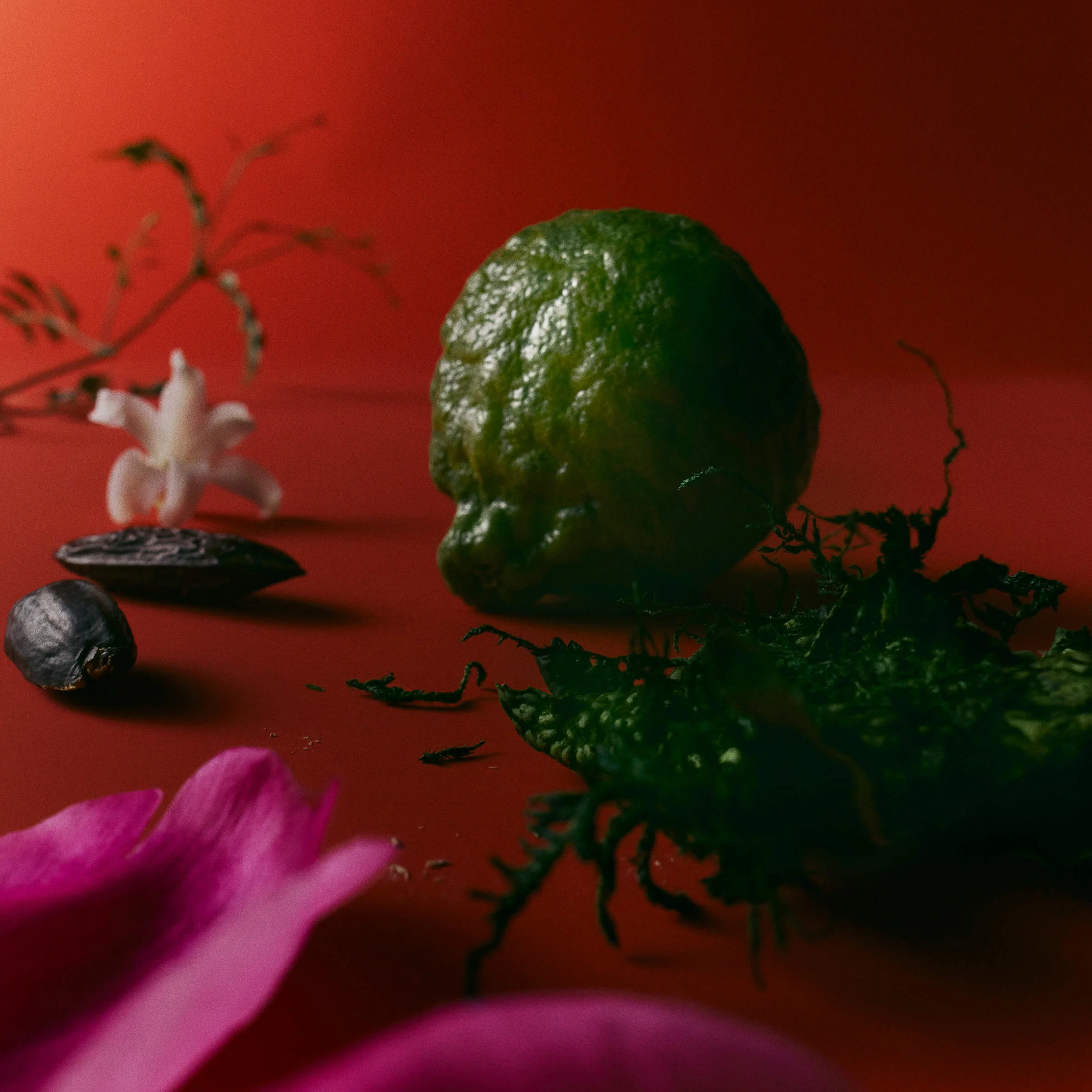 Mienne Body Creme - Image 10
