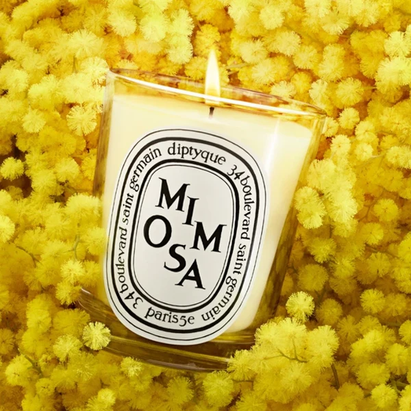 Mimosa Candle - New Vessel - Image 2
