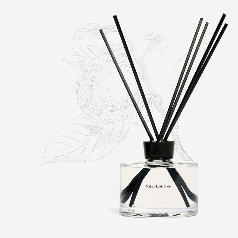 No.09 Vallee de Farney Home Diffuser - Image 6