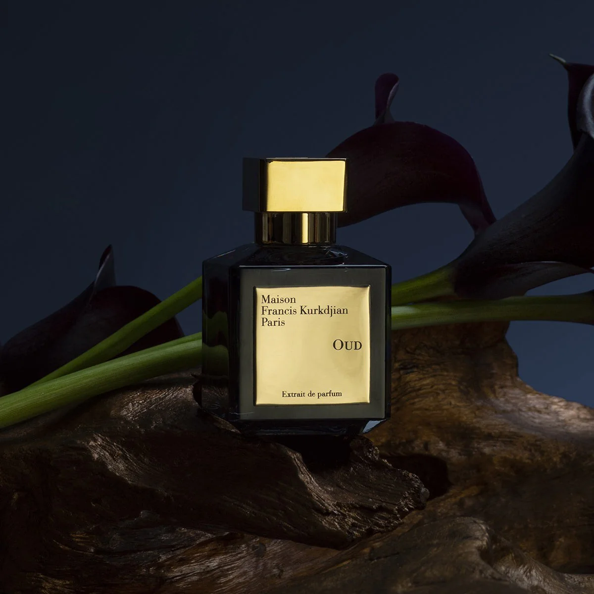 Oud Extrait de Parfum 70ml - Image 3