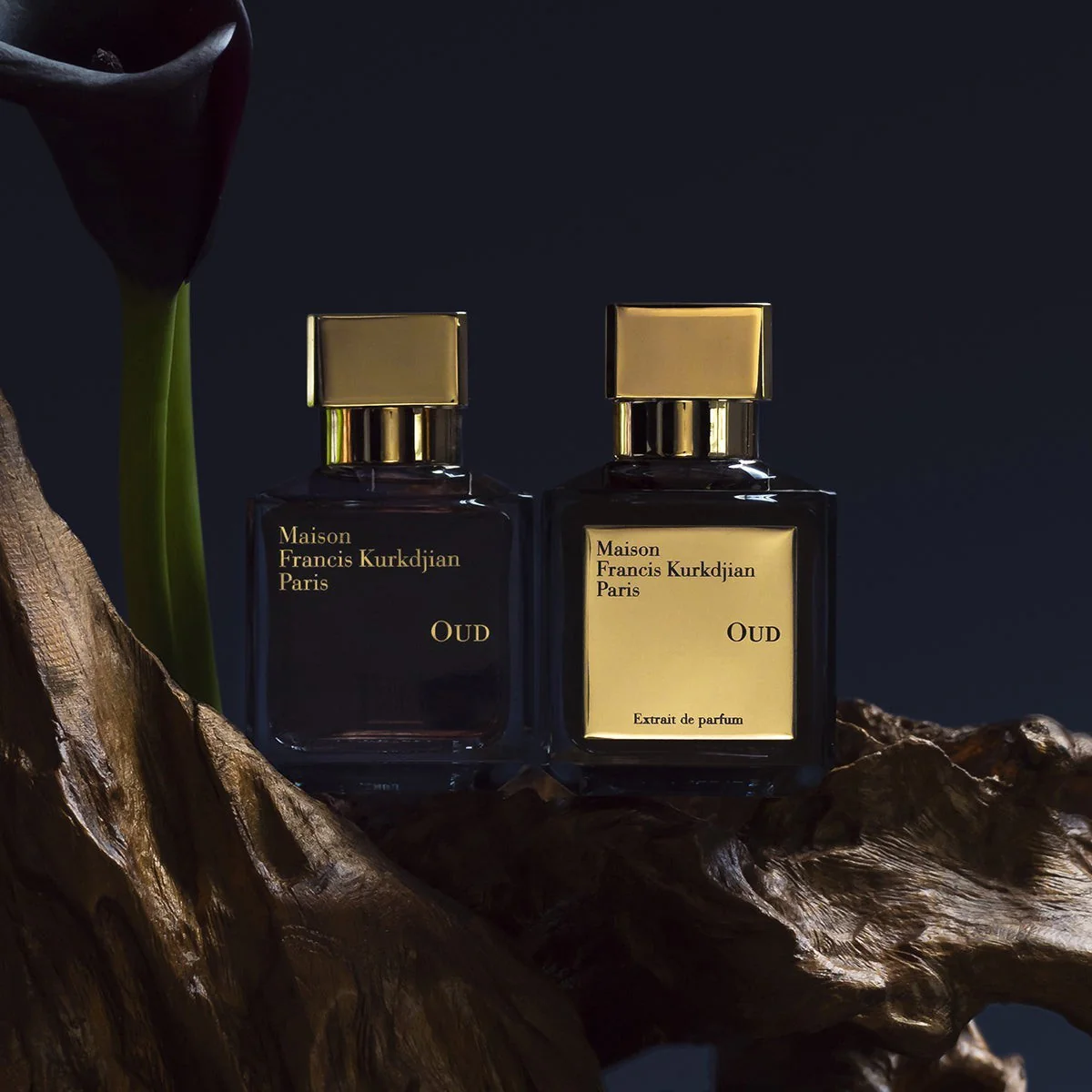 Oud Extrait de Parfum 70ml - Image 4