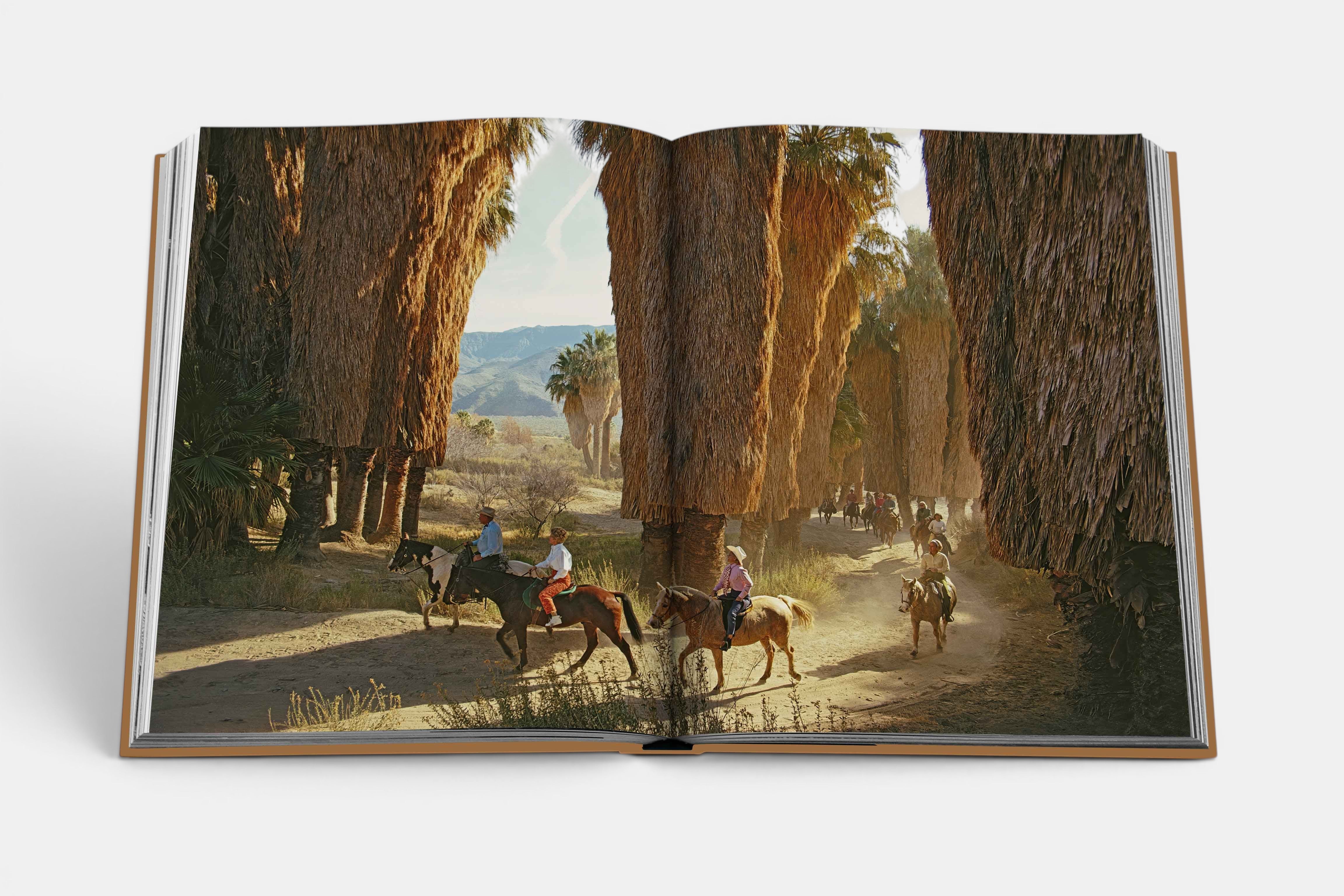 Palm Springs - Image 8
