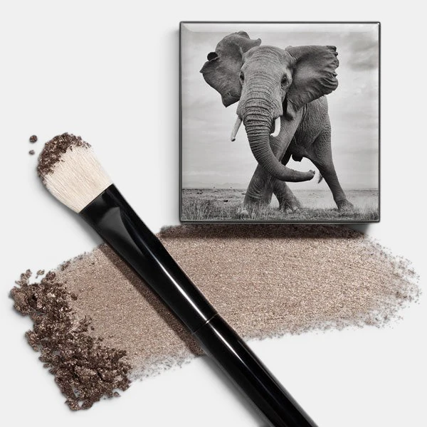 Shade and Sweep Eye Brush - Image 2