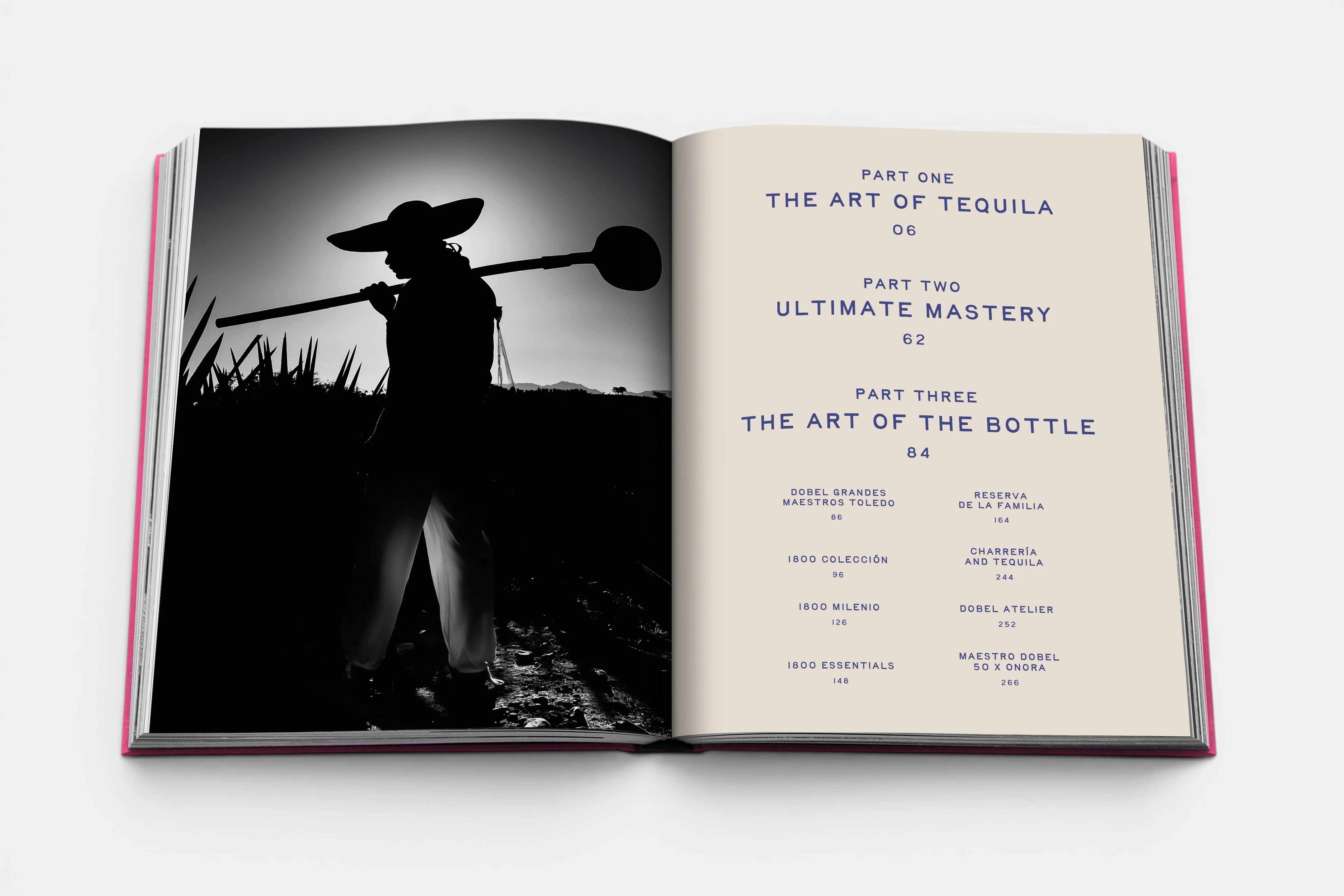 The Art of Tequila: Spirit of Mexico - Image 4