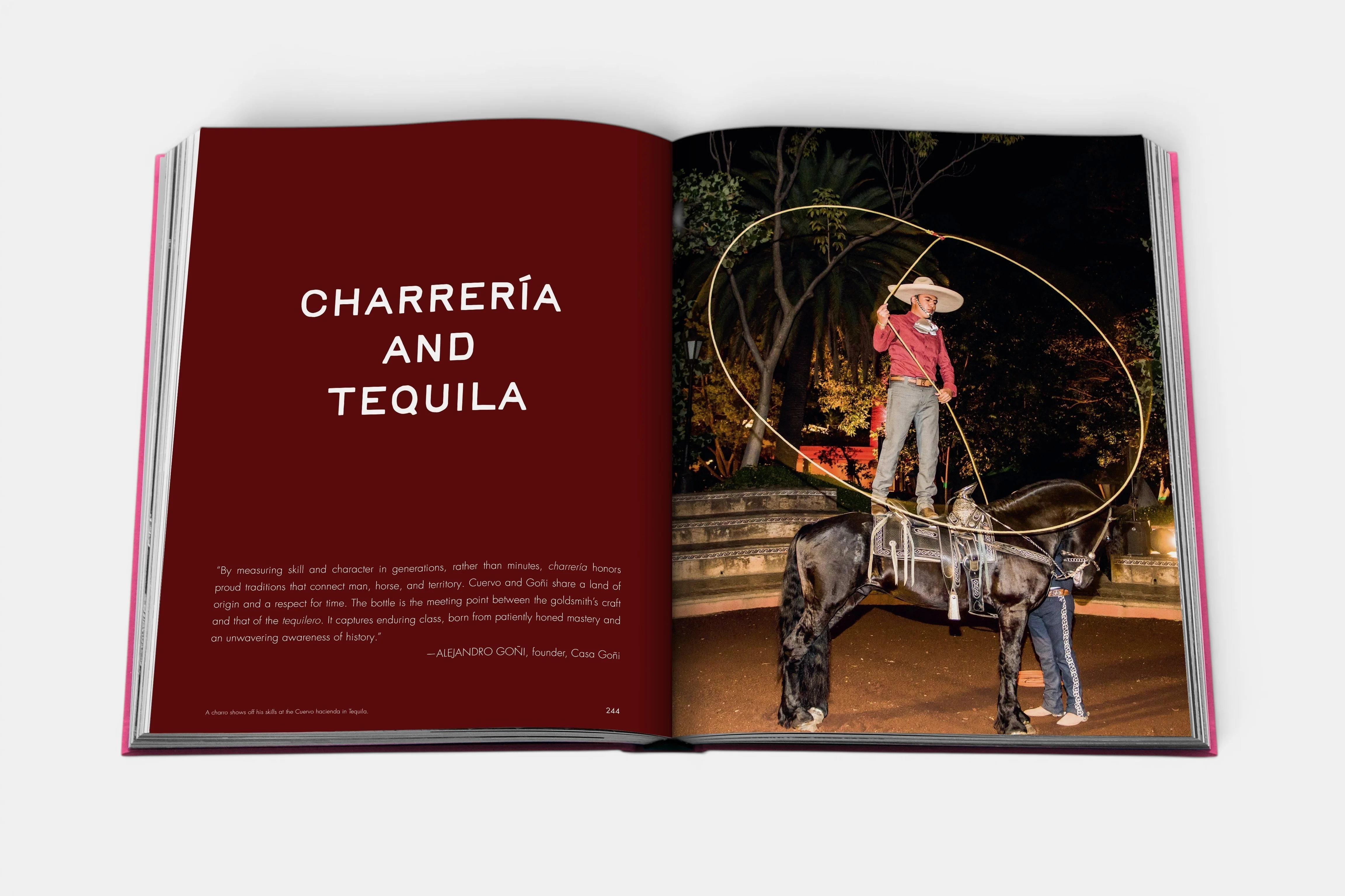 The Art of Tequila: Spirit of Mexico - Image 9